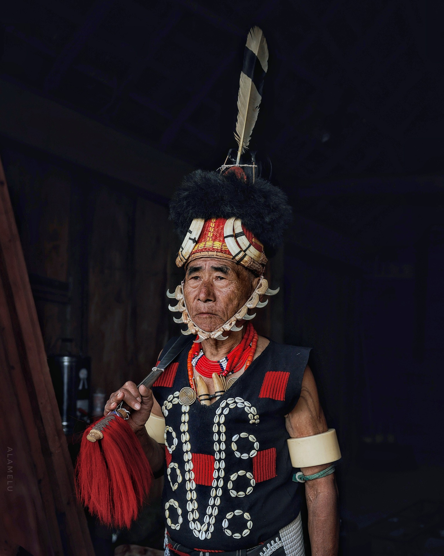 alamelu nagaland 9953300 1920